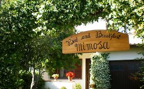 Bed And Breakfast Mimosa