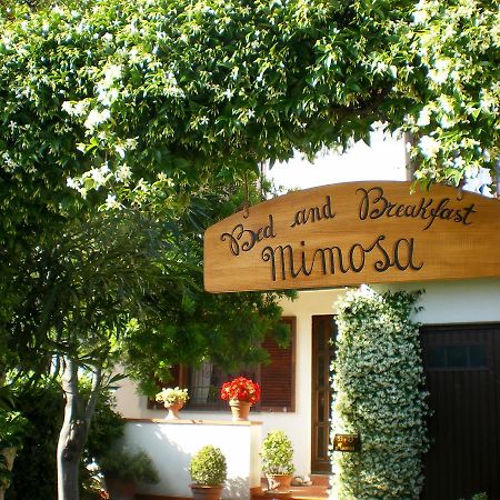 Bed And Breakfast Mimosa Cascina Extérieur photo