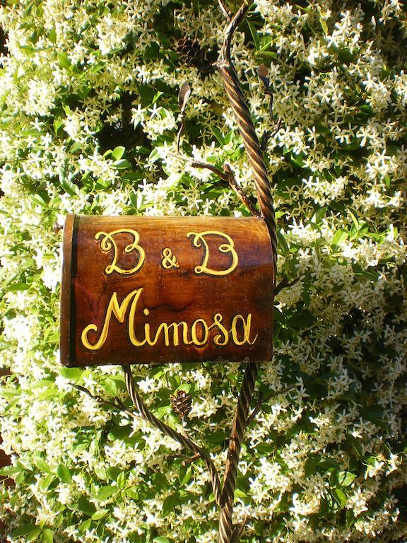 Bed And Breakfast Mimosa Cascina Extérieur photo